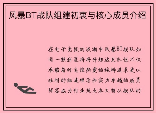 风暴BT战队组建初衷与核心成员介绍