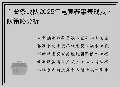 白薯条战队2025年电竞赛事表现及团队策略分析