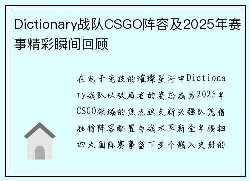 Dictionary战队CSGO阵容及2025年赛事精彩瞬间回顾
